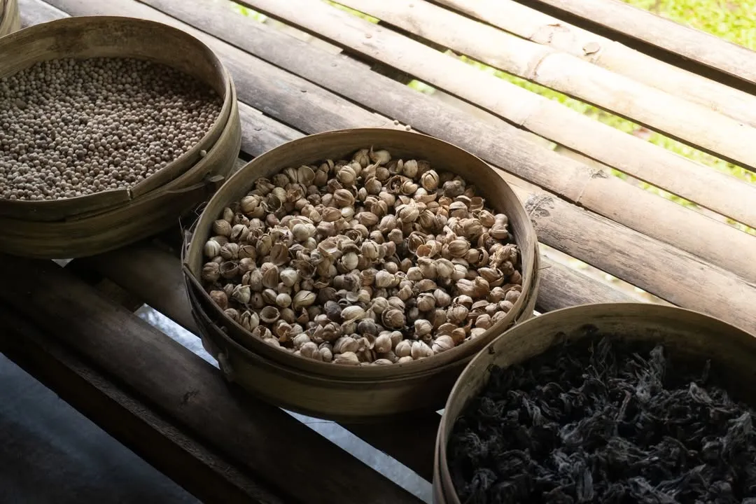 Tebasari Coffee Shop Ubud A Perfect Blend of Nature, Taste, and Tranquility