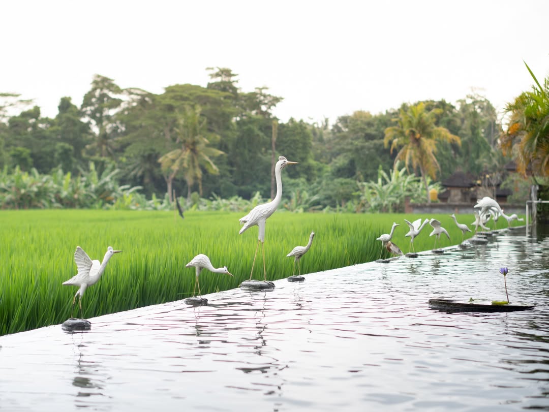 A Green Oasis for Food Lovers
