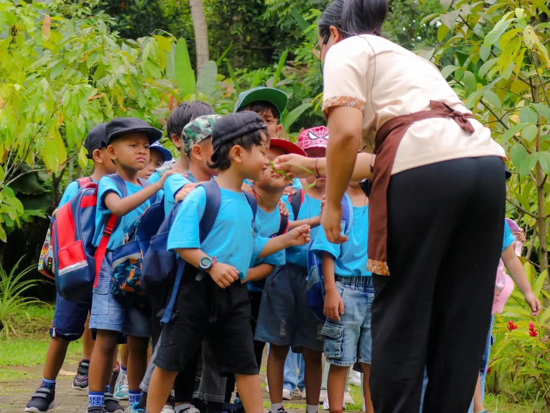 Tebasari Coffee Plantation Ubud Explore Authentic Balinese Coffee