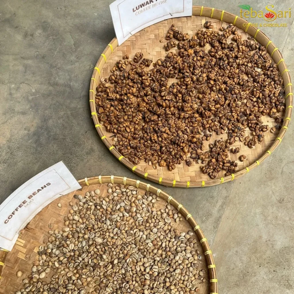 Bali Coffee Experience A Journey Through Bali’s