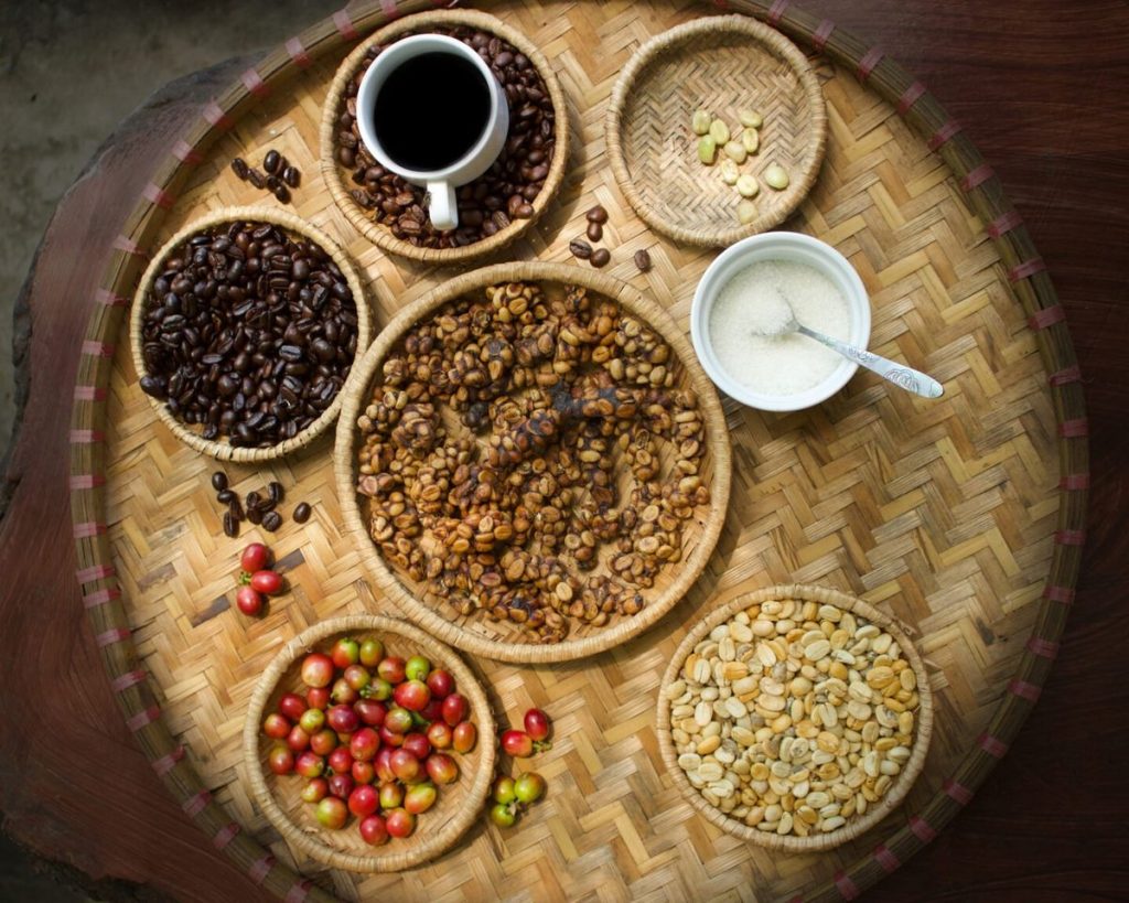 Luwak coffee tasting Ubud