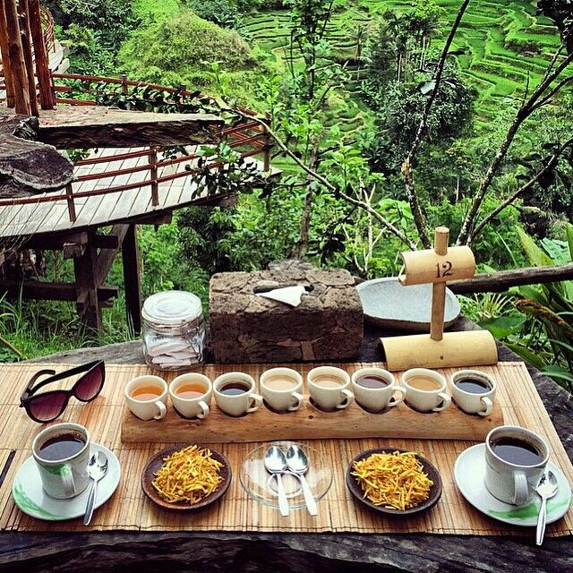 Ubud Nature View Restaurant Experience at Tebasari Resto