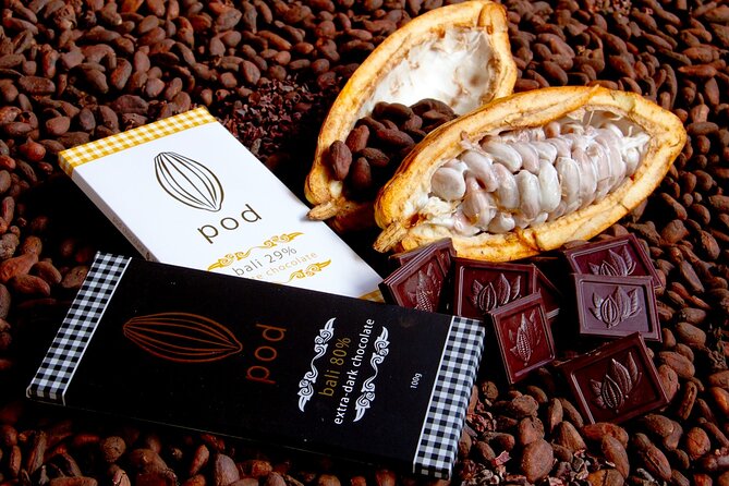 Bali cocoa processing tour