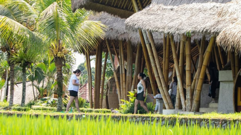 Authentic Balinese dishes at Tegalalang jungle view restaurant