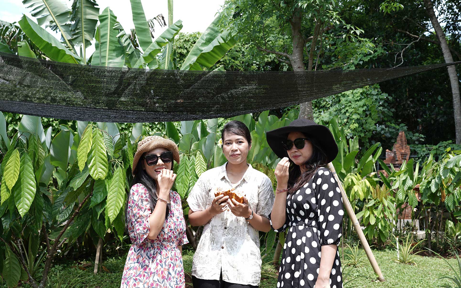 Rice field view cafe