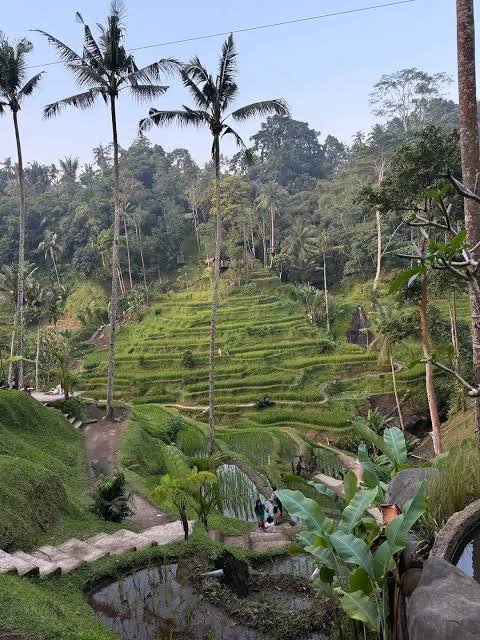 Tegalalang Chill Out Spot Experience at Tebasari Resto